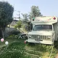 ジョンソンタウンの写真_326183