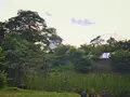 小倉城庭園の写真_326216