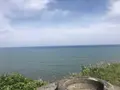 大原漁港の写真_326285