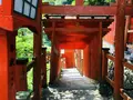 太皷谷稲成神社の写真_326302