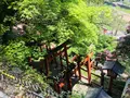 太皷谷稲成神社の写真_326307