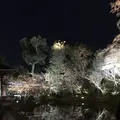 高台寺の写真_326698