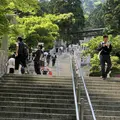 大山阿夫利神社 下社拝殿の写真_326955