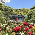鎌倉文学館の写真_327001