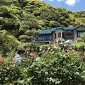 鎌倉文学館の写真_327002