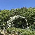 鎌倉文学館の写真_327003