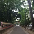 大宮公園の写真_327423