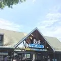 マザー牧場の写真_327561