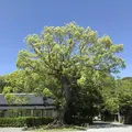 宗像大社の写真_327581