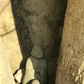 西公園の写真_327607
