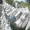 西公園の写真_327617