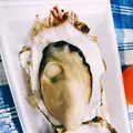 さいたま新都心の写真_327865