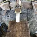 城山八幡宮の写真_328012