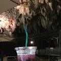 ガンガラーの谷 ケイブカフェの写真_328024