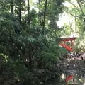 等々力渓谷の写真_328859