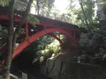 等々力渓谷の写真_328860