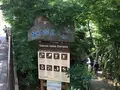 等々力渓谷の写真_328863