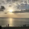 奄美市大浜海浜公園の写真_329850