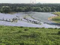 ひたち海浜公園の写真_330150