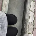 高千穂牧場の写真_330208