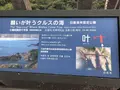 クルスの海の写真_330220