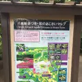 六義園の写真_330361