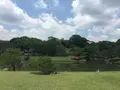 六義園の写真_330363