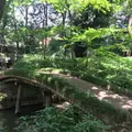 六義園の写真_330364