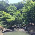 六義園の写真_330365
