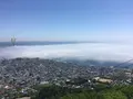 函館山展望台の写真_330389