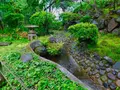 等々力渓谷の写真_330480