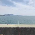 鳩の釜漁港の写真_330490