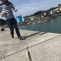 鳩の釜漁港の写真_330492