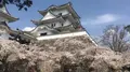 上野城の写真_330938