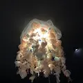 鶴岡市立加茂水族館（クラゲドリーム館）の写真_331435