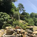 高麗山聖天院 正門の写真_331618