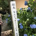 高麗家住宅の写真_331630
