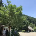 高麗家住宅の写真_331631