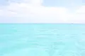 百合ヶ浜の写真_331852
