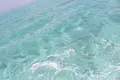 百合ヶ浜の写真_331855