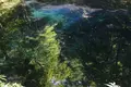 青池の写真_331859
