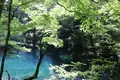 青池の写真_331863