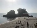 南大隅町 雄川の滝の写真_338314