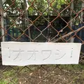 斜里町立知床博物館の写真_338408