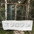 斜里町立知床博物館の写真_338409