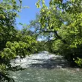 奥入瀬渓流館の写真_338511