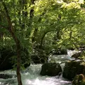 奥入瀬 石ケ戸休憩所の写真_338549