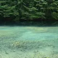 奥入瀬 石ケ戸休憩所の写真_338573