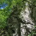 奥入瀬 石ケ戸休憩所の写真_338576