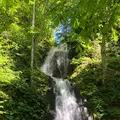 奥入瀬 石ケ戸休憩所の写真_338582